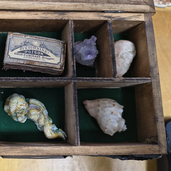 HAUNTED COLLECTION